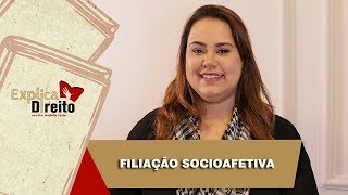 Explica Direito Filiação Socioafetiva  2019 [upl. by Oilcareh]