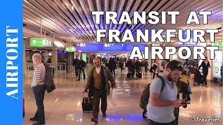 TRANSIT WALK AT FRANKFURT Airport FRA Terminal 1  Connection Flight Transfer Arriving amp Departing [upl. by Duke888]